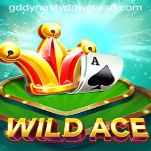 WildAce A New Genre Defining Experience